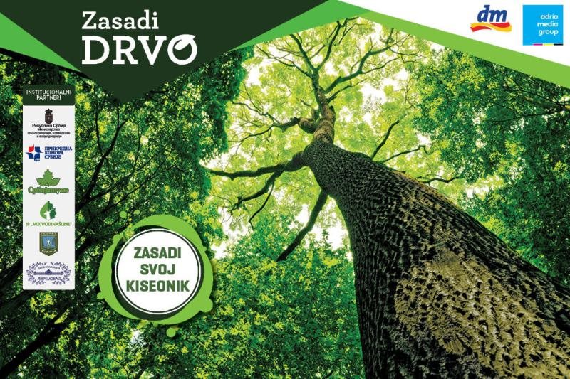 Pokrenut Najveci Projekat Sadnje Drveca U Srbiji Yumama