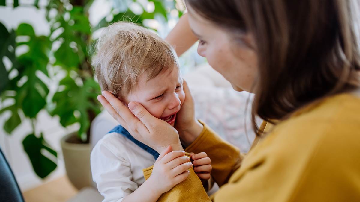 Po čemu se prepoznaju visoko osetljiva deca? Obično imaju ove 4 osobine, a na jednoj mnogi mogu da im zavide