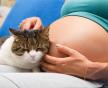 Mačke prenose parazite u trudnoći toksoplazmoza.