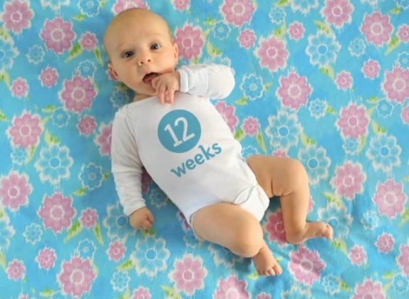 bebina-prva-godina-u-12-mastovitih-slika