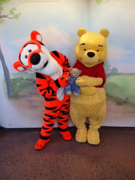 izgubljeni-meda-tobi-u-diznijevoj-avanturi