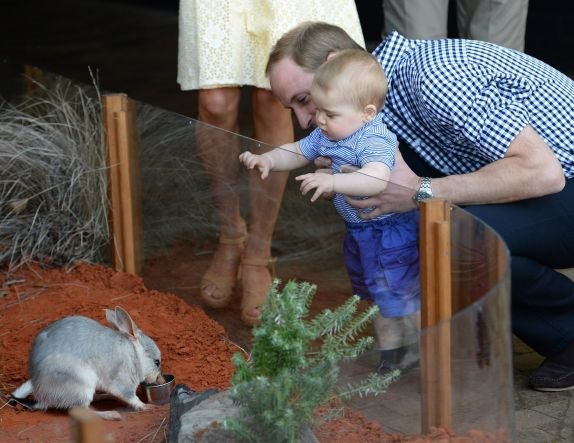 princ-dzordz-u-prvoj-poseti-zooloskom-vrtu-foto