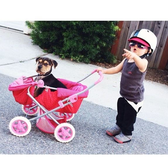 foto-prica-o-lepoti-prijateljstva-izmedju-decaka-i-psa