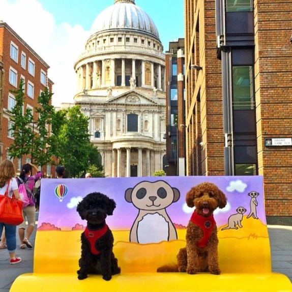 klupe-iz-bajki-kako-je-london-kod-dece-probudio-ljubav-prema-knj