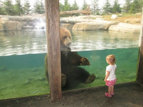 drugarstvo-u-zooloskom-vrtu-mala-deca-i-velike-divlje-zivotinje