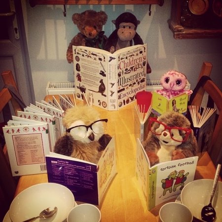 jutarnji-ritual-koji-jedan-par-priredjuje-svojim-usvojenim-malis