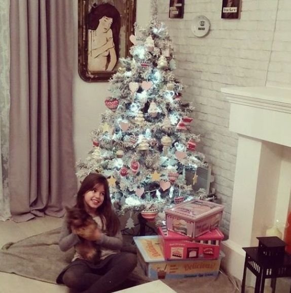 pogledajte-kako-su-poznate-licnosti-okitile-jelke-foto