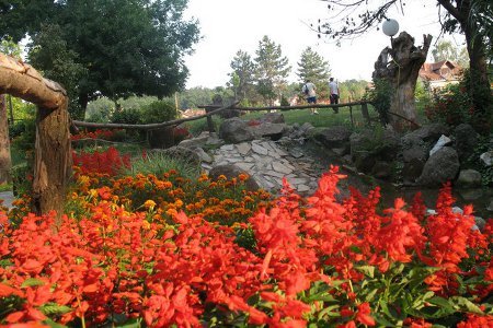 zabavno-leto-u-kragujevcu