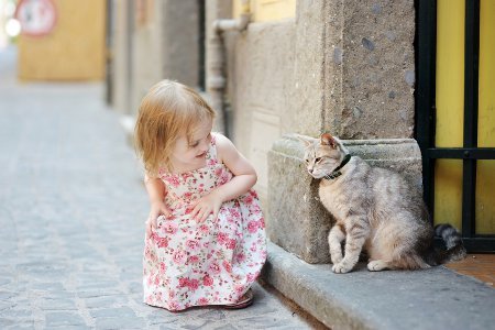 macka-veseli-clan-porodice