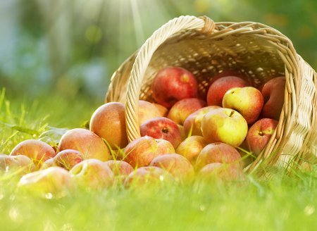 pravilna-ishrana-u-2-trimestru-trudnoce