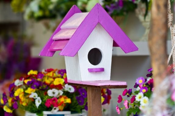 pticicama-s-ljubavlju