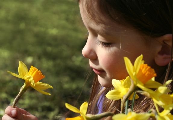 upoznajte-dete-sa-prirodom