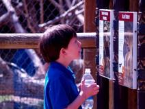 usvajanje-navike-citanja