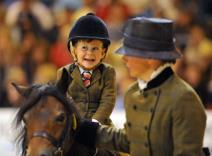 trogodisnjak-nova-zvezda-konjickog-sporta