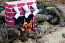 pripreme-za-bozic-u-zoo-vrtu