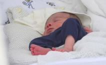 sajmon-kauel-brine-kako-ce-beba-uticati-na-njegove-pse