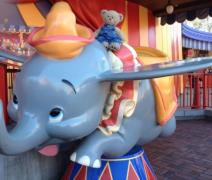 izgubljeni-meda-tobi-u-diznijevoj-avanturi