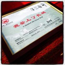 misel-obama-s-cerkama-na-kineskom-zidu-foto