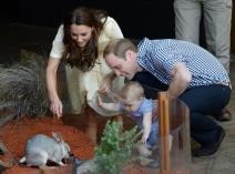 princ-dzordz-u-prvoj-poseti-zooloskom-vrtu-foto