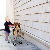 foto-prica-o-lepoti-prijateljstva-izmedju-decaka-i-psa