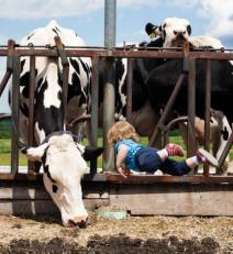 leteci-henri-foto-prica-o-maminom-malom-superheroju