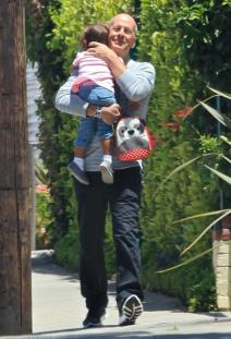 brus-vilis-u-ulozi-briznog-tate-foto