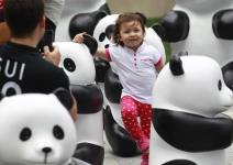 malisani-u-cudesnom-svetu-pandi-foto