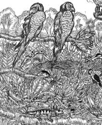 jedanaestogodisnjak-iz-srbije-umetnoscu-osvaja-svet