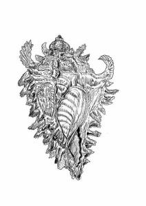 jedanaestogodisnjak-iz-srbije-umetnoscu-osvaja-svet