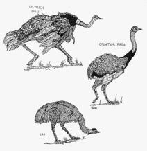 jedanaestogodisnjak-iz-srbije-umetnoscu-osvaja-svet