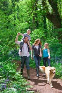 kako-zastititi-decu-od-krpelja