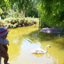 biljana-i-emili-tipsarevic-u-letnjoj-setnji-foto