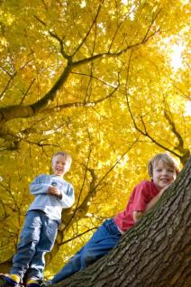 sta-sve-mame-decaka-moraju-znati