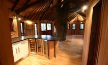 kuca-iz-decje-maste-porodicni-dom-na-drvetu-foto