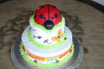 originalne-ideje-za-rodjendanske-torte-inspirisane-letom