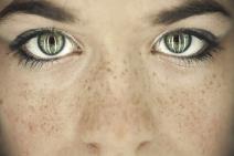 projekat-koji-slama-srca-nasilje-u-ocima-deteta-foto