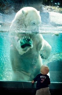 drugarstvo-u-zooloskom-vrtu-mala-deca-i-velike-divlje-zivotinje