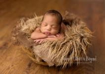 neodoljive-bebe-u-carstvu-snova-foto