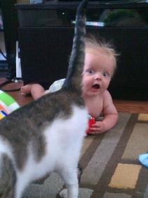 urnebesno-kad-bebe-uskoce-u-kadar