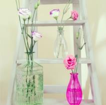 uredjenje-doma-merdevine-kao-neobican-detalj-u-dnevnoj-sobi-kuhi