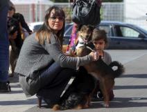 beograd-poznata-tv-lica-prosetala-pse-iz-azila