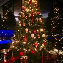 pogledajte-kako-su-poznate-licnosti-okitile-jelke-foto