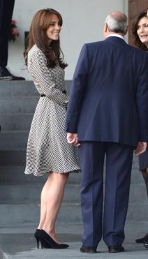poslovni-izgled-zgodne-mame-kejt-midlton-haljina-za-prvi-dan-nak