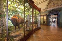 decji-muzeji-u-becu-od-princeva-i-princeza-do-malih-rudara-foto