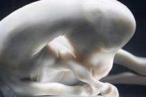 zivotinjski-svet-12-neverovatnih-fotografija-malduncadi-u-mamino