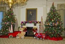 praznicne-carolije-u-beloj-kuci-malisani-posetili-dom-predsednik
