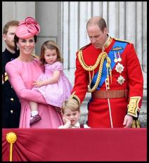 mozda-je-prabaka-slavila-rodjendan-ali-svu-slavu-su-preuzeli-dzo