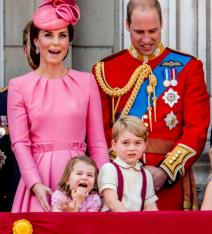 mozda-je-prabaka-slavila-rodjendan-ali-svu-slavu-su-preuzeli-dzo