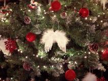 emmezetina-humanitarna-akcija-veruj-u-caroliju