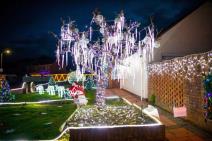 carobni-duh-praznika-pogledajte-najraskosnije-okicenu-ulicu-u-br